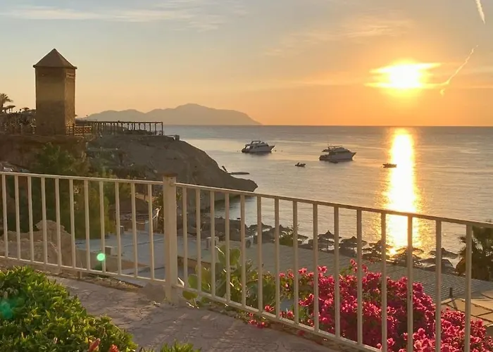 Apartment Seafront - Sharks Bay